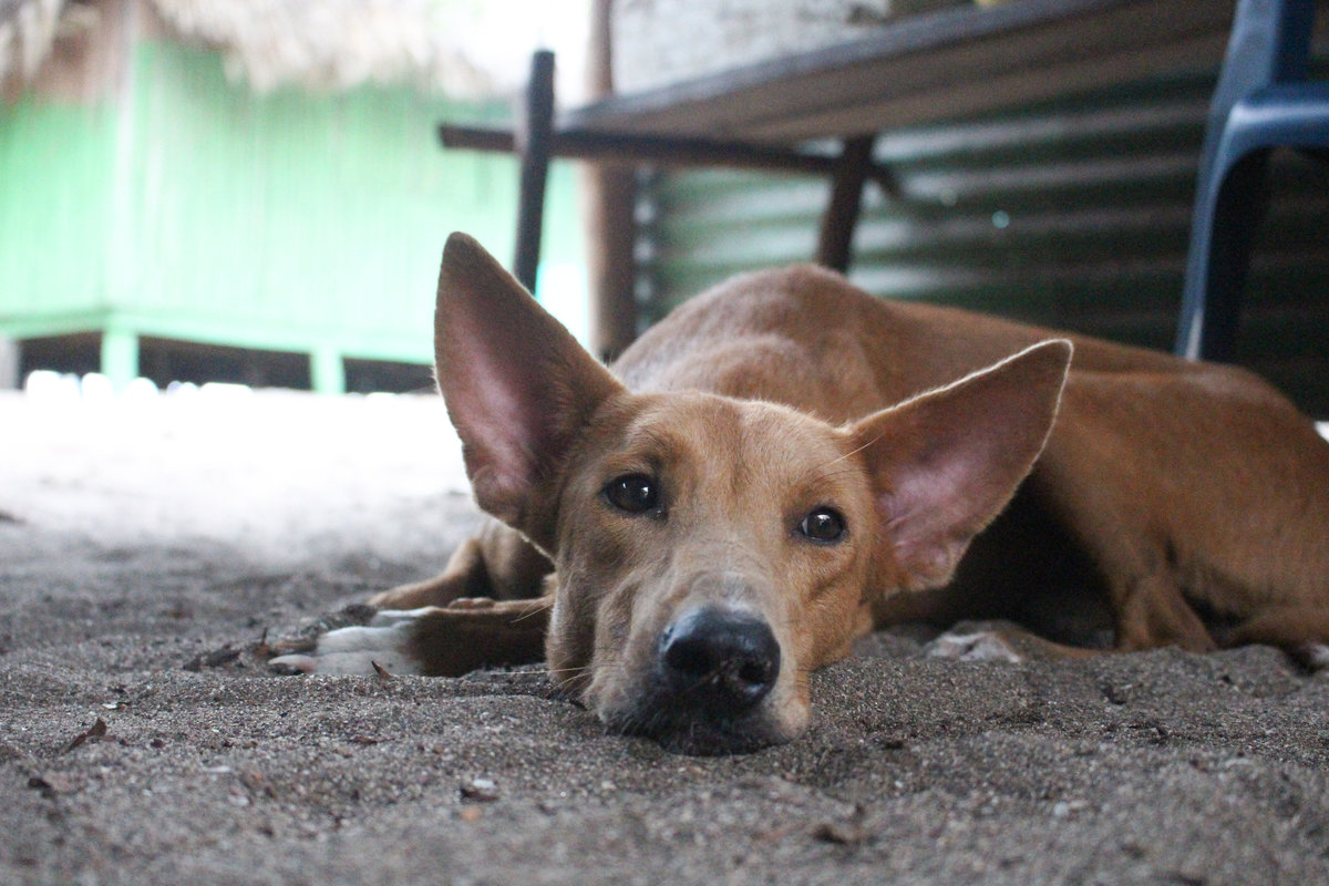 Wade_Muir_Photography_Places-edits-22