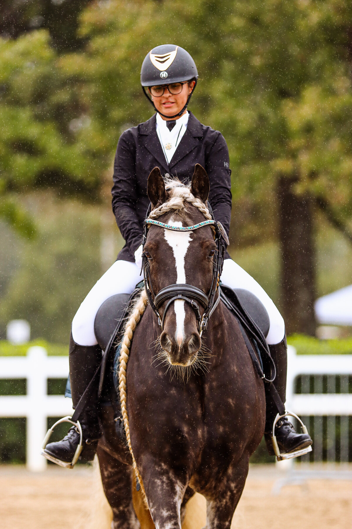 A straight on shot of a Gypsy Vanner horse in the rain during a dressage test at the Georgia International Horse Park in Conyers, GA.