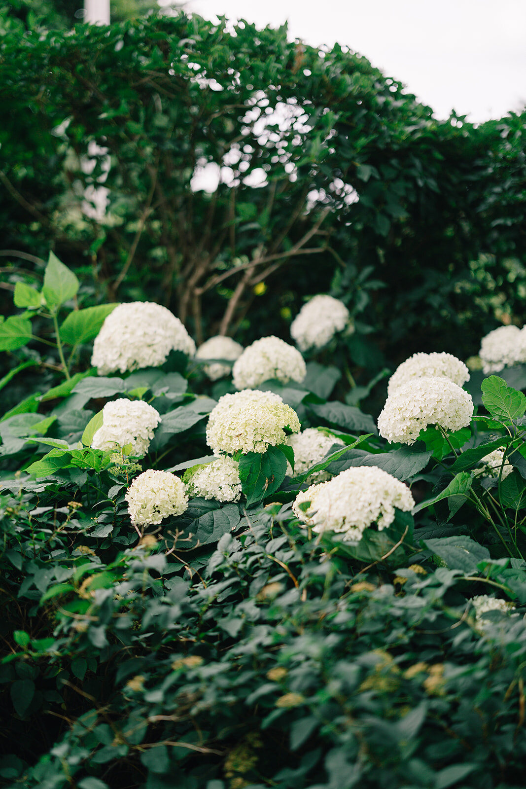 Bride-Groom-Elise-Filliccia-Photography-131