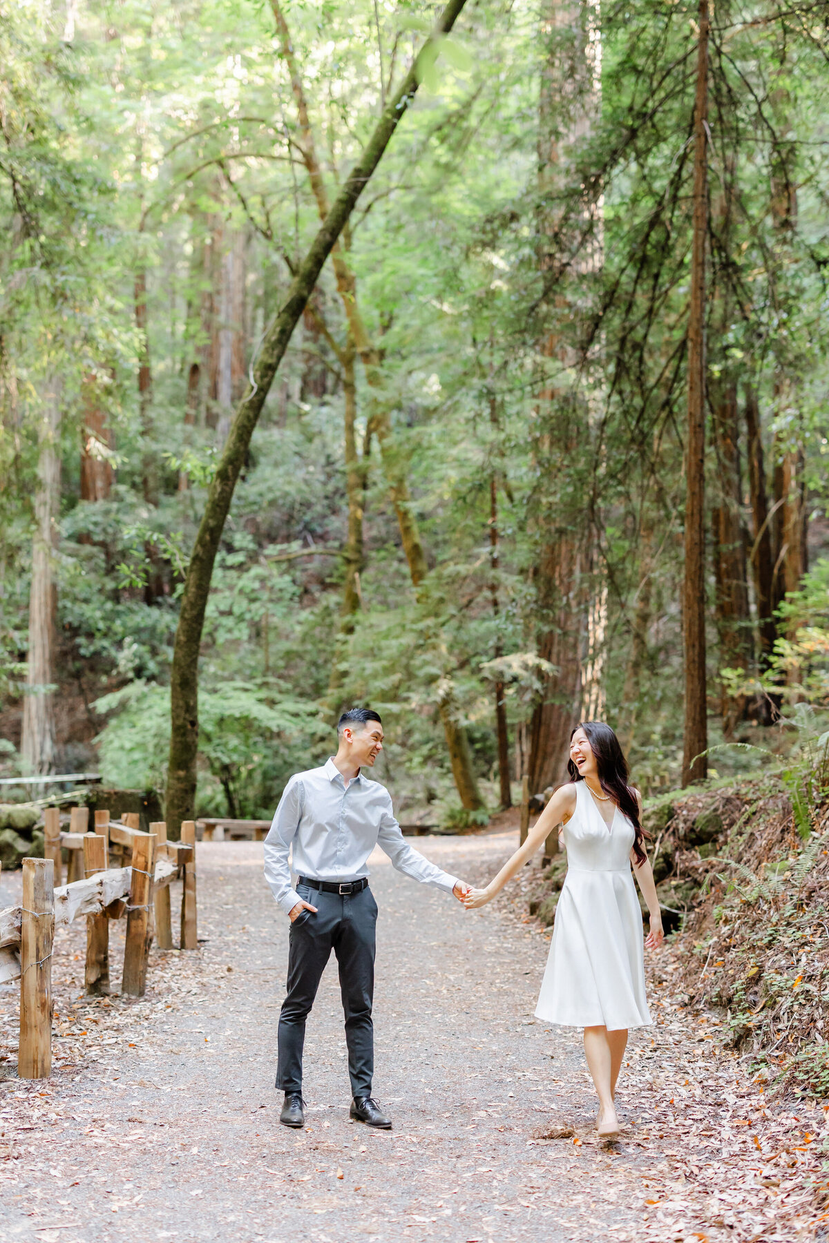 armstrong-redwoods-state-park-2