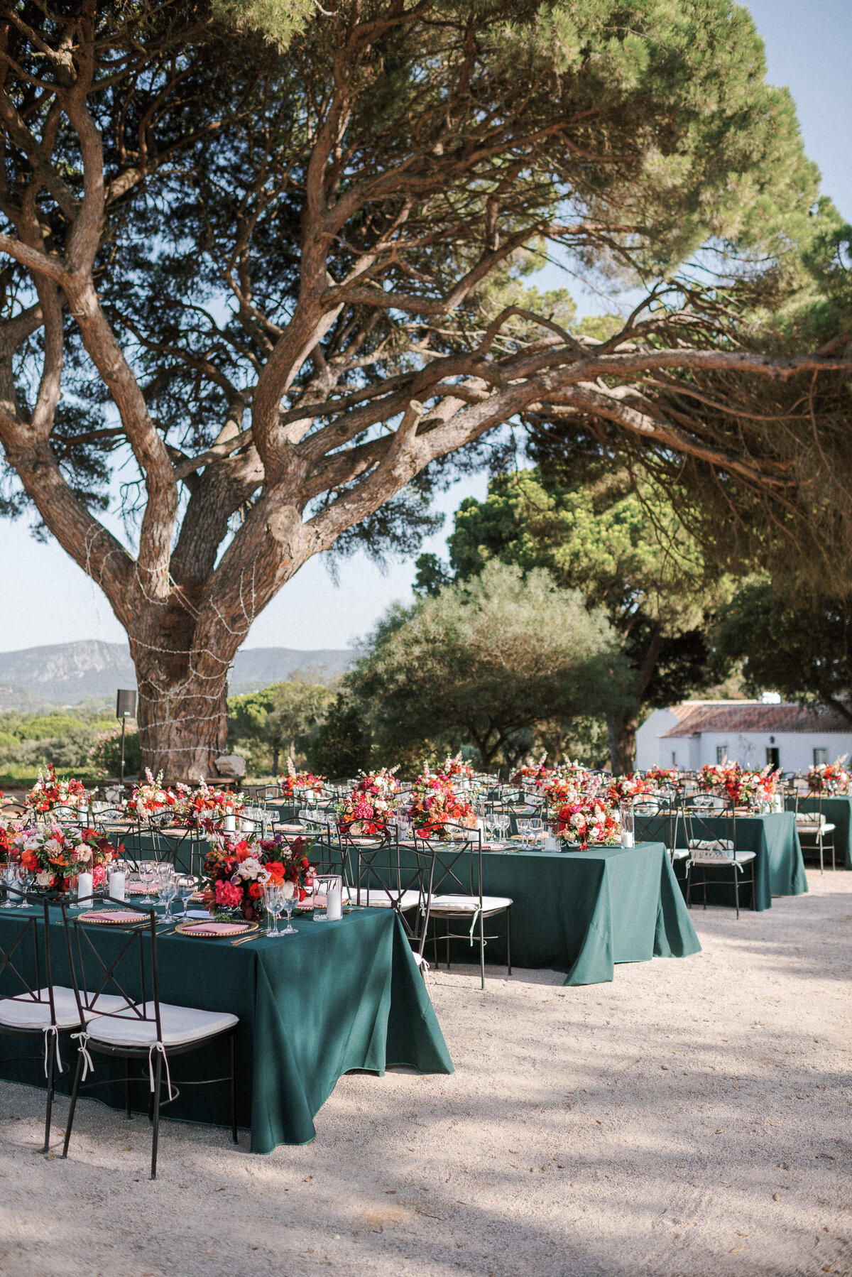Les Anagnou_wed_31082019_Stephanie_Garrett_758