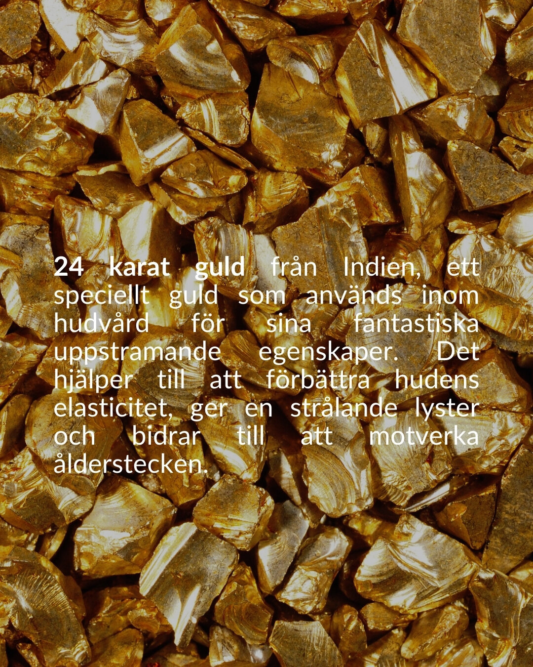 soberbia (11)