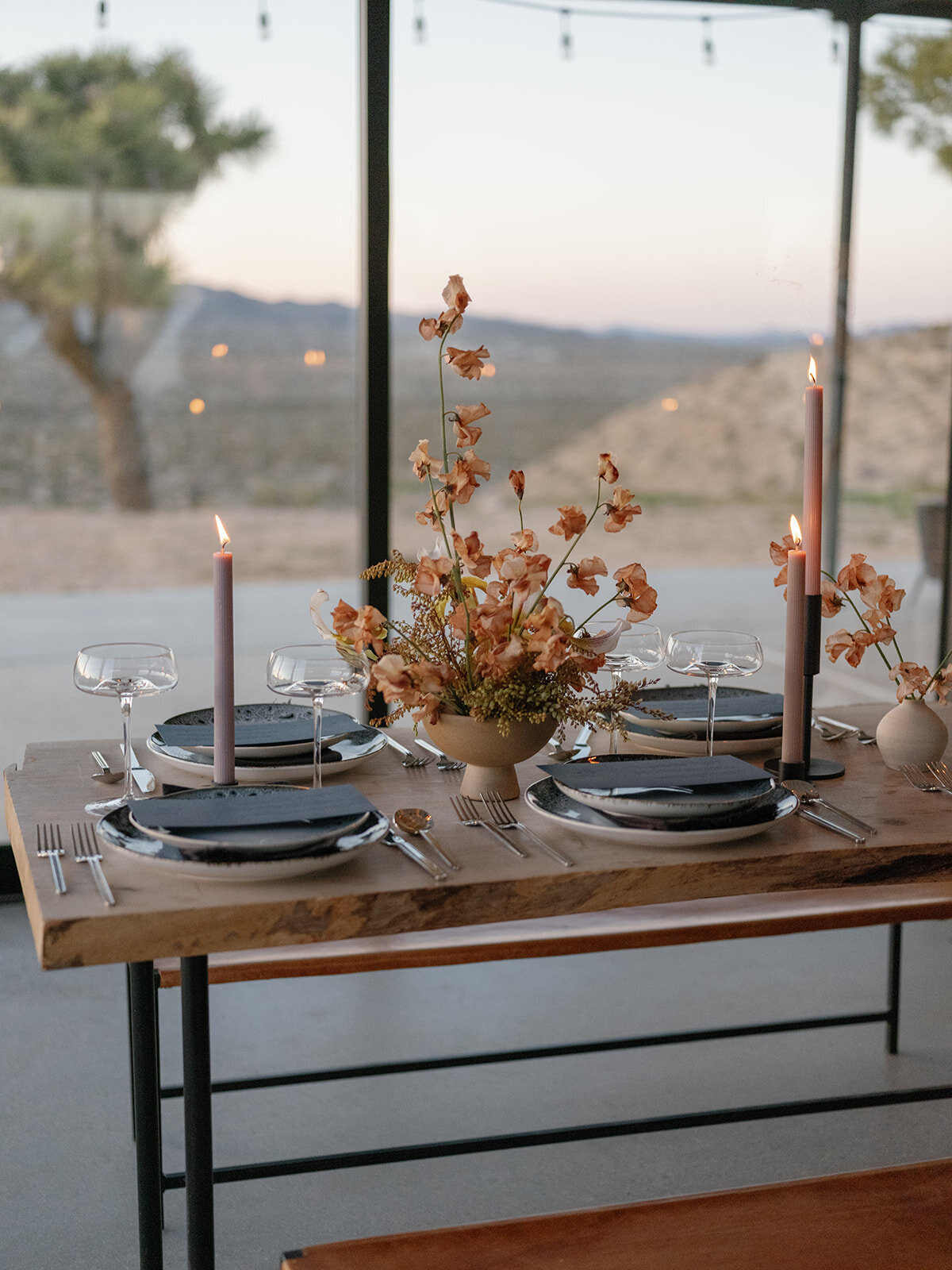 Wedding-Reception-Yucca-Valley-California-Kelli-Christine-Photo-58_websize