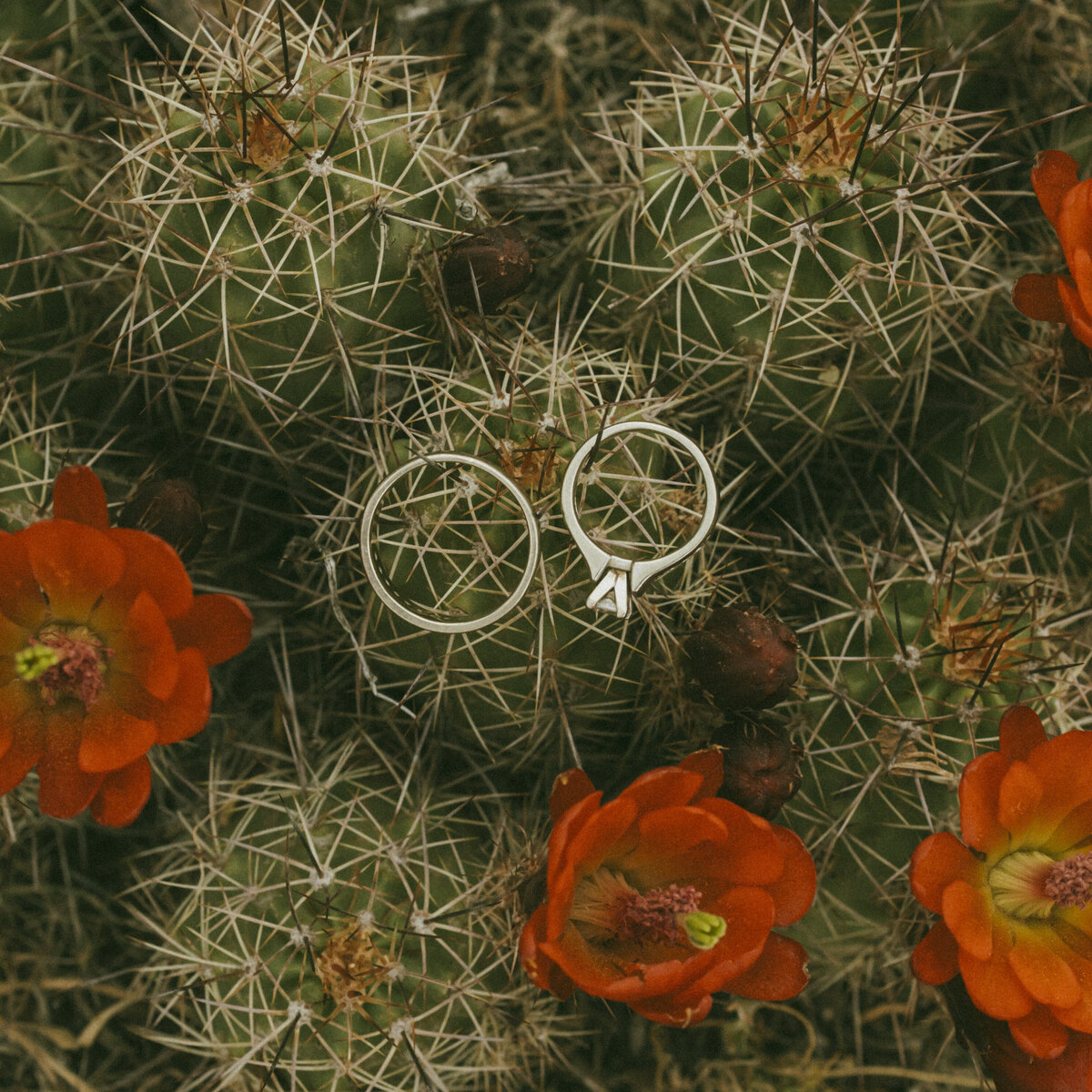 Durango-Elopement-Photographer (24)