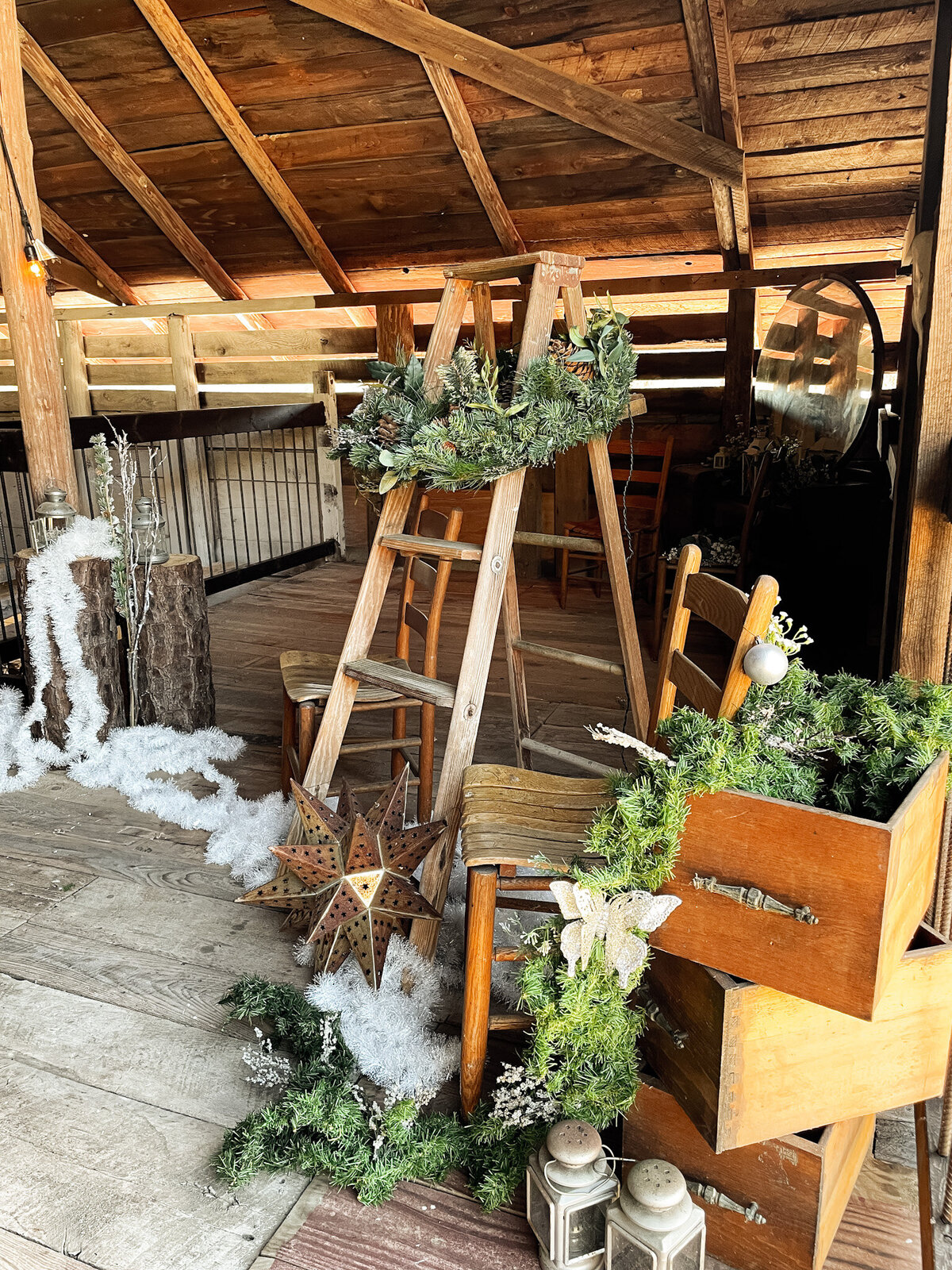 Mountain-Laurel-Farm-Christmas-Mini-Session-Photo-Venue235