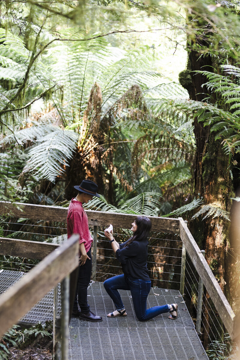 Liminal-Wonderland-Surprisal-Proposal-Engagement031