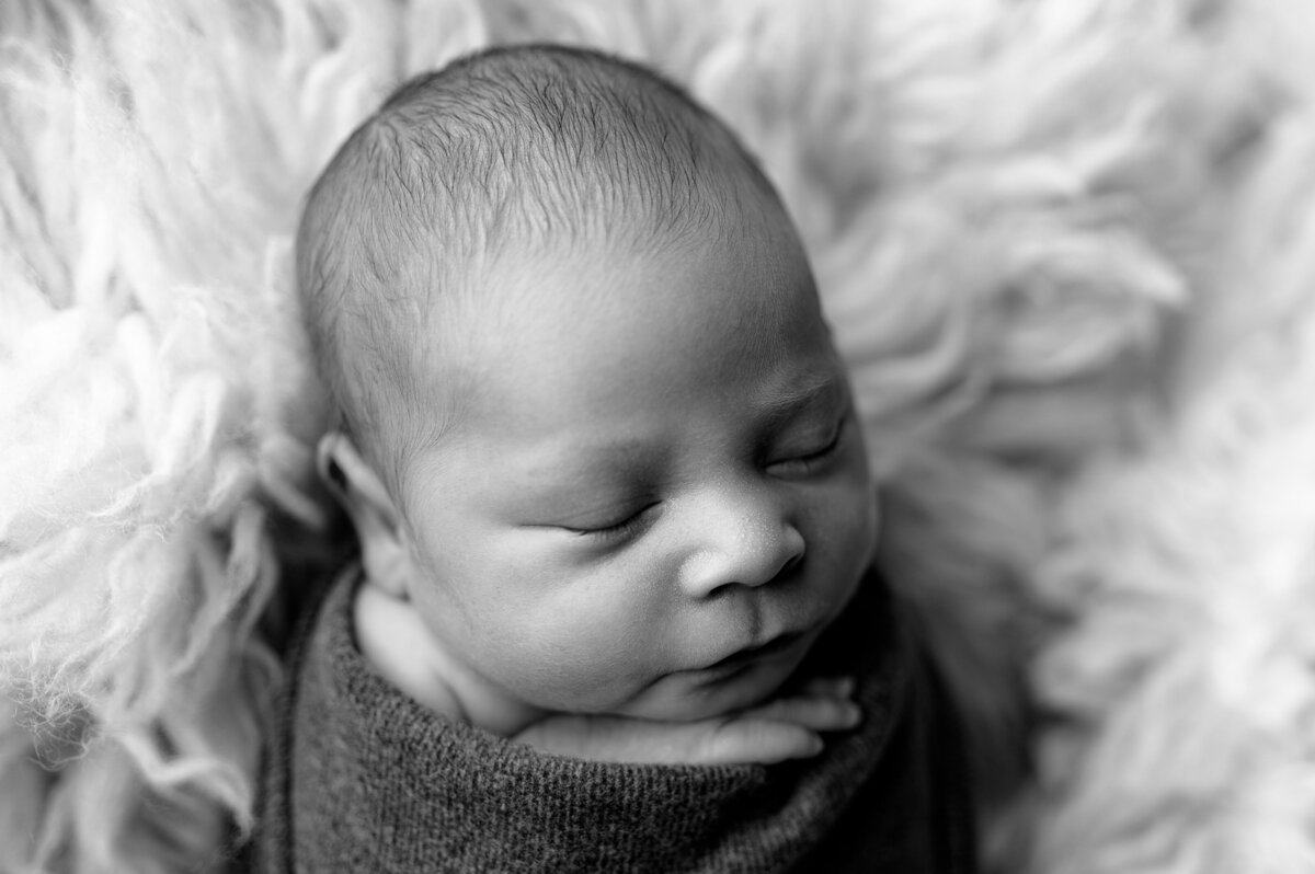 kc newborn photo session