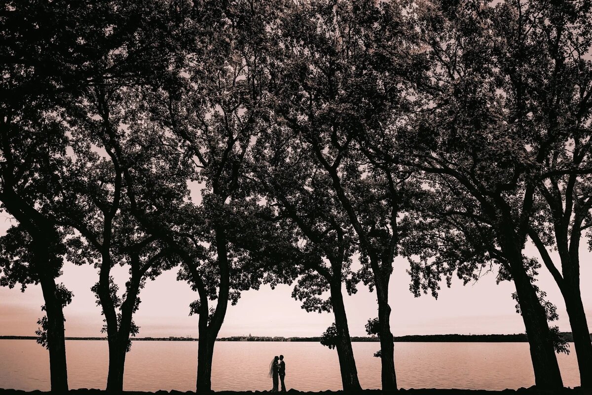 A monochromatic silhouette of a couple under the trees by a lakeside