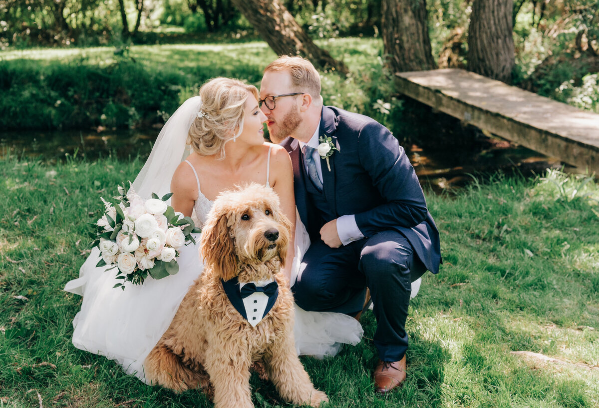Bride and groom portraits with adorable labradoodle dressed in tuxedo