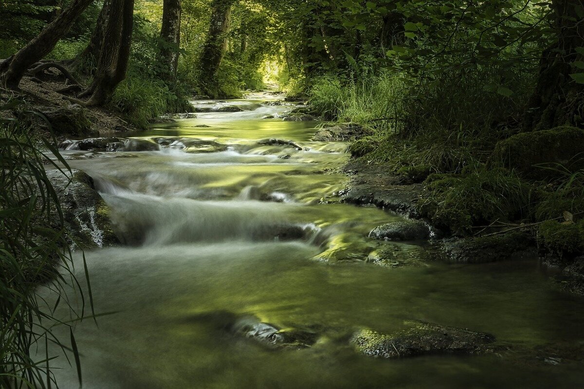 The sounds of a forest stream induce a feeling of tranquility.