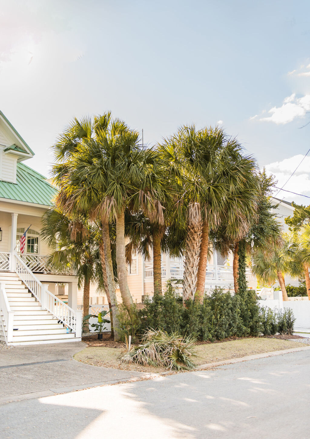 lush palm trees near walkway to coastal town