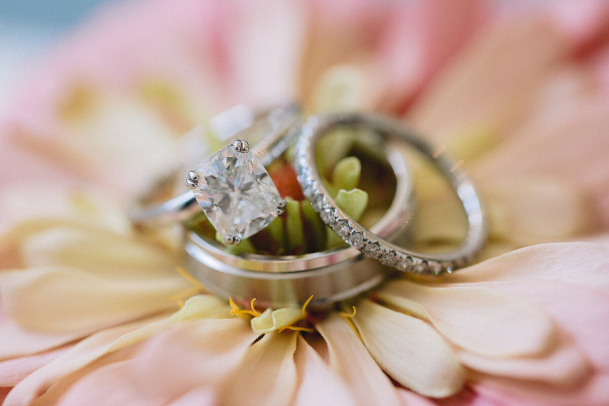 oliviabradywedding36