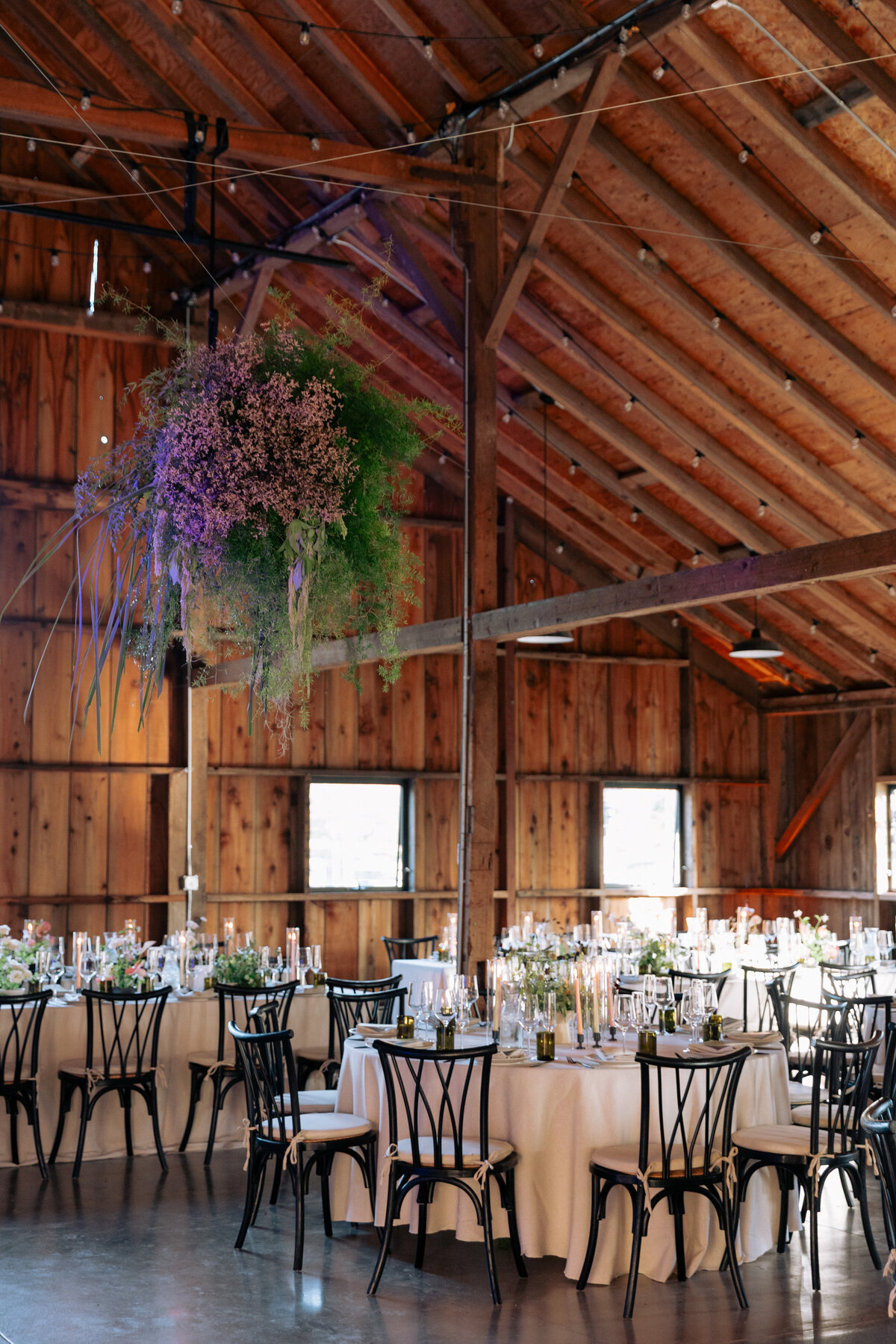 Brooke_Ryan_Wedding_Straus_home_ranch_2025_danipadgettweddings180242