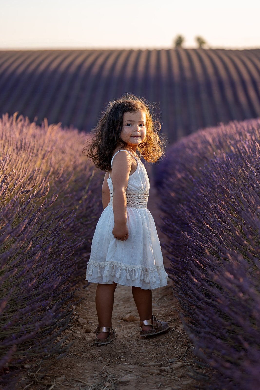 shooting-famille-lavandes-golden-hour-provence281