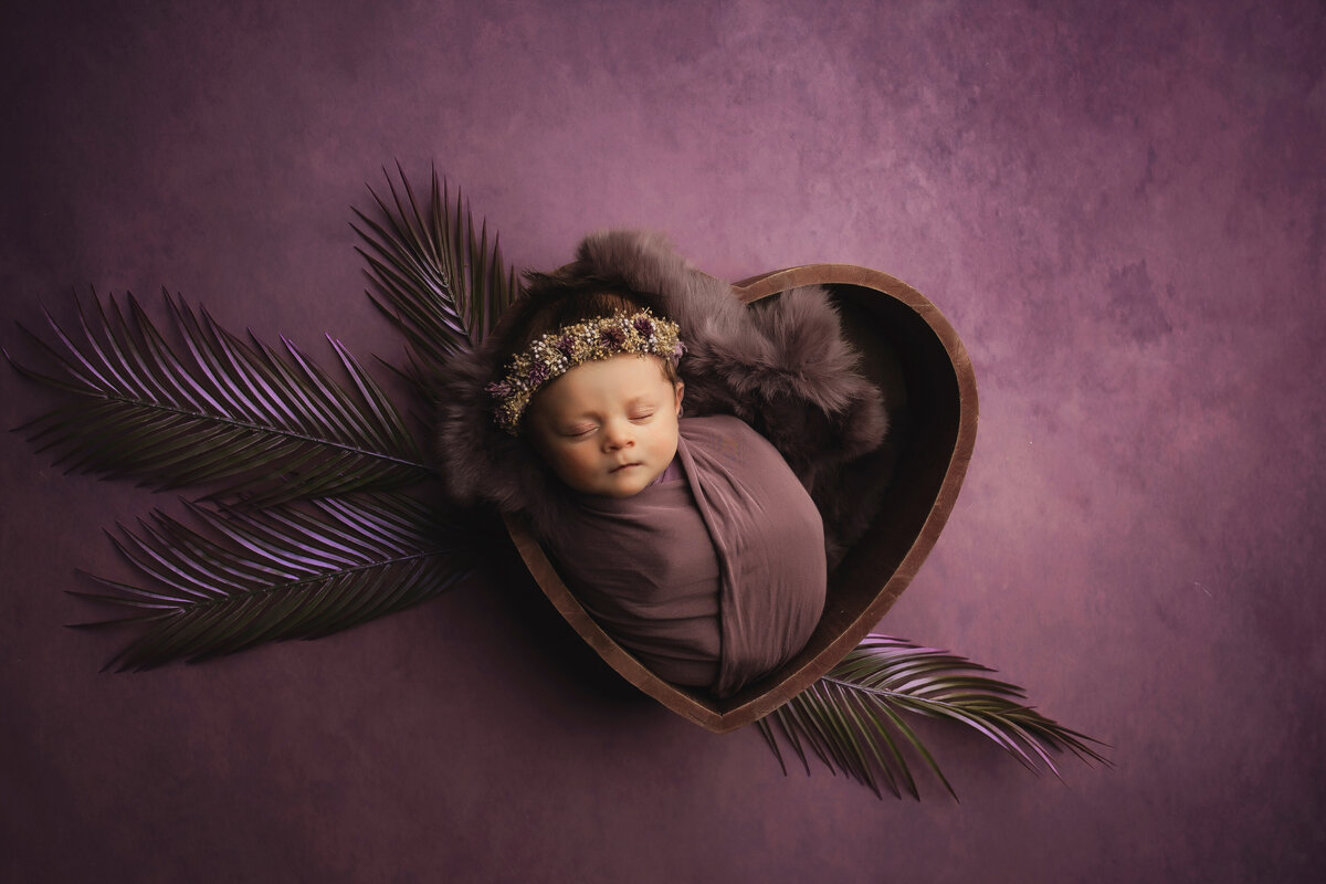 baby portrait photographers waci