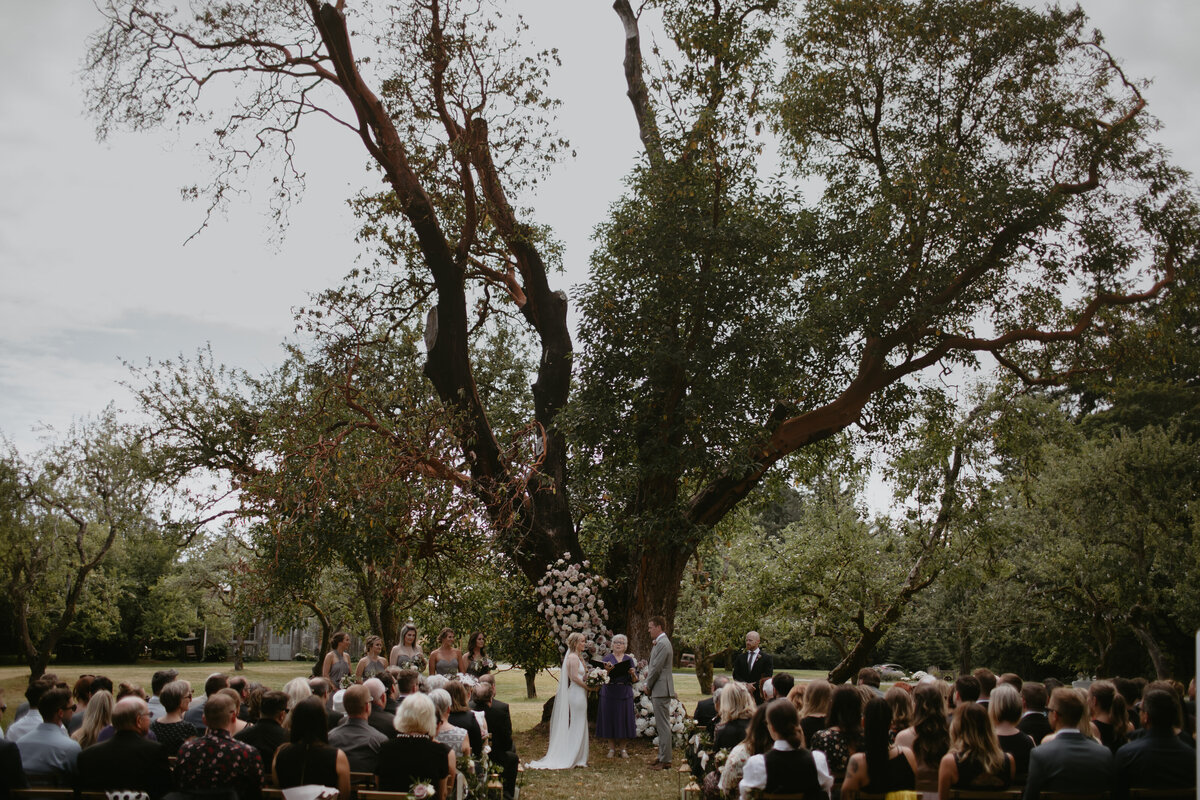 MeghanHemstra-Bilston-Creek-Farm-Victoria-Wedding-Photos-2