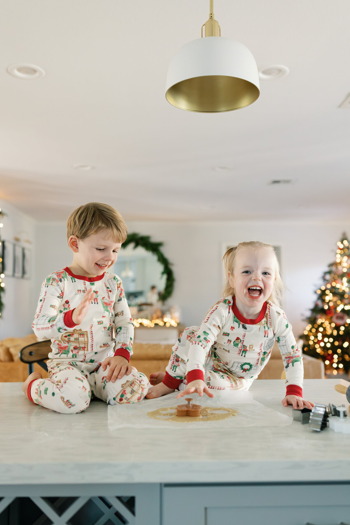 Christmas Cookies 2024-18