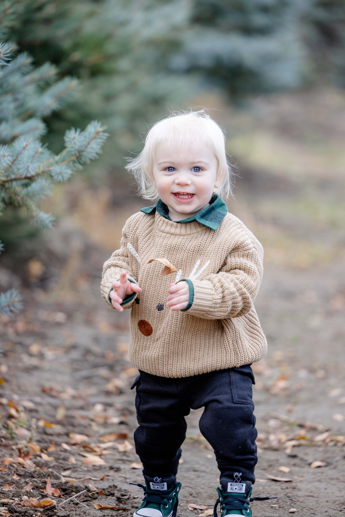 Utah-County-UT-Christmas-Tree-Farm-Mini-Session-Magnolia-and-Grace-Photography-Co-AshbyilyinJ-# (1)-19