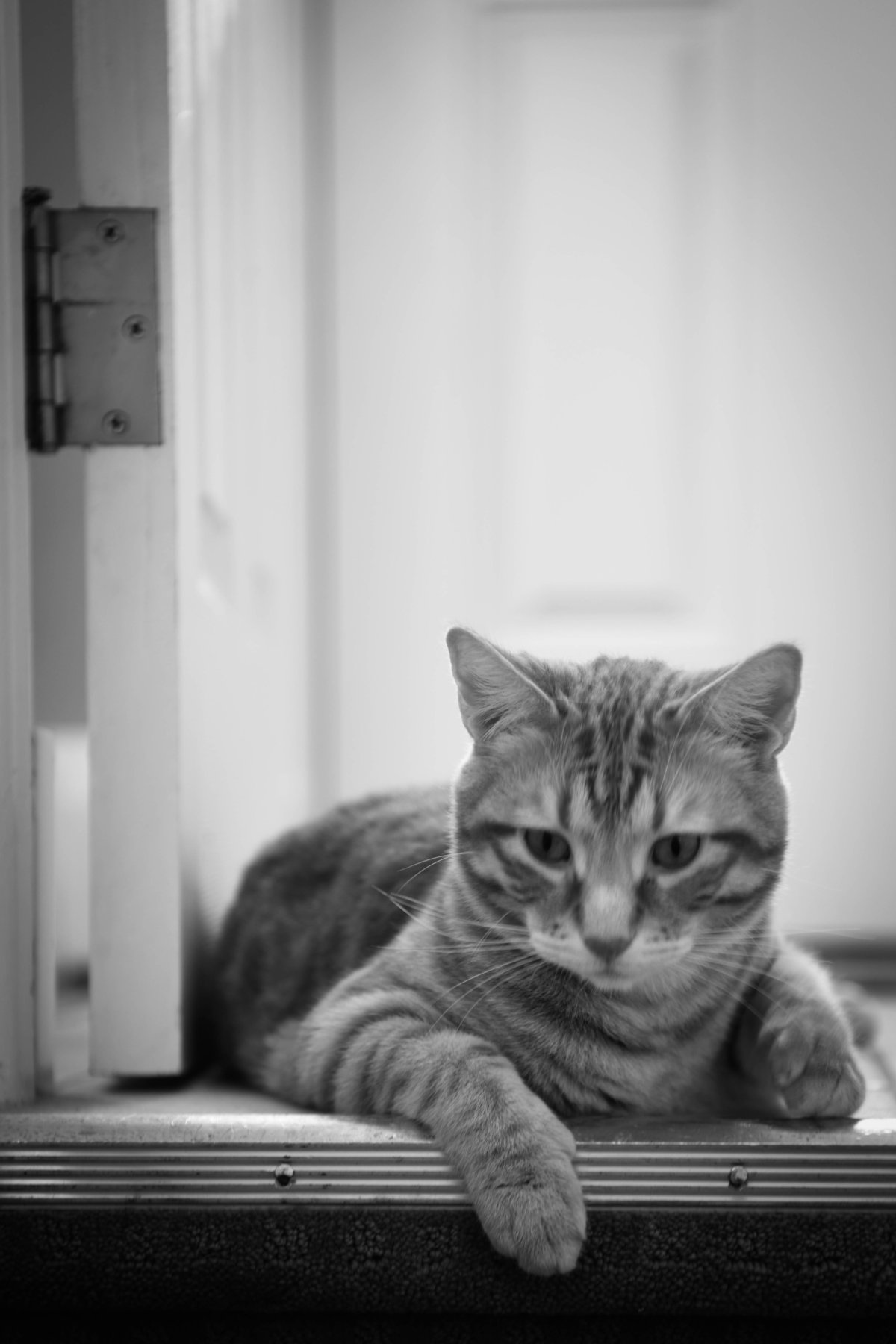 DSC_1491