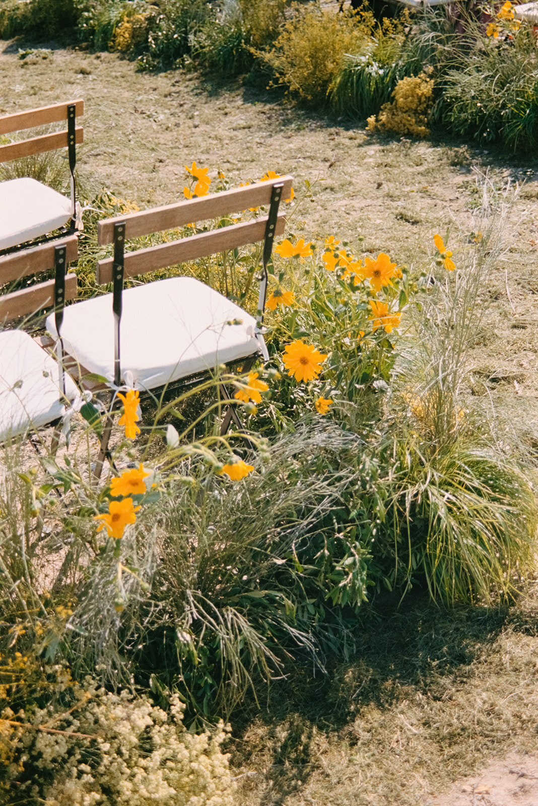 wedding_julianne_charlie_alta_0180_websize