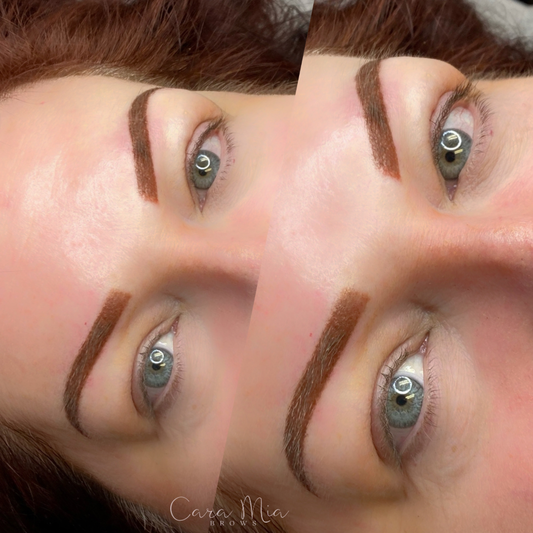 Ombre Powder Brows before and after