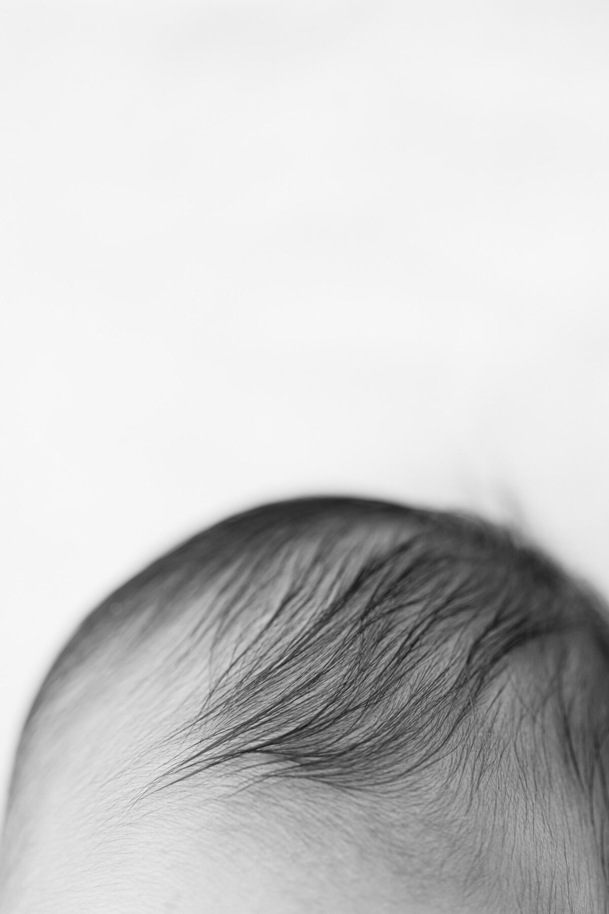 Newborn photography session at a Philadelphia photography studio - 2
