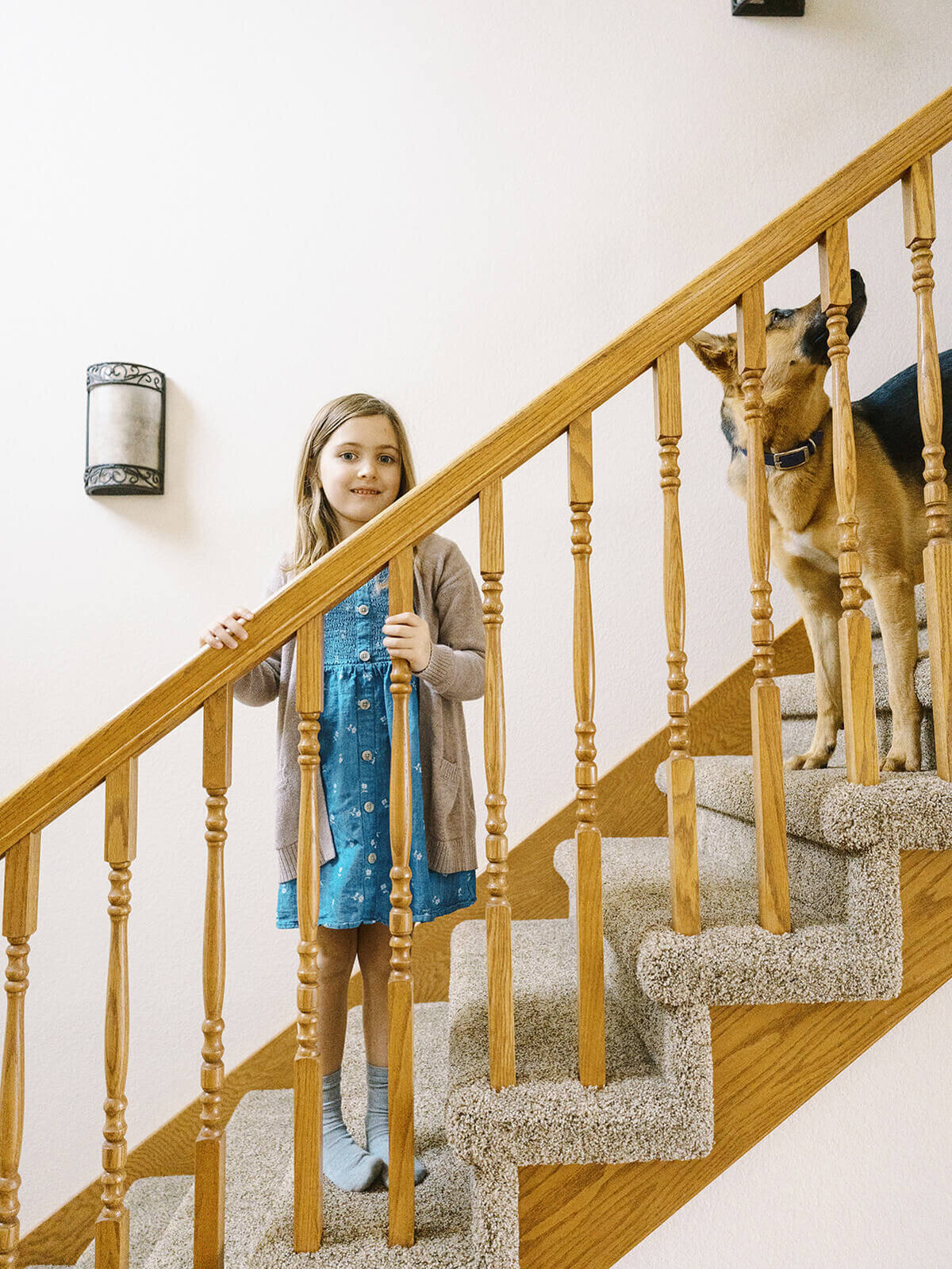 A young girl and a dog standing on a staircase during a family photography session.