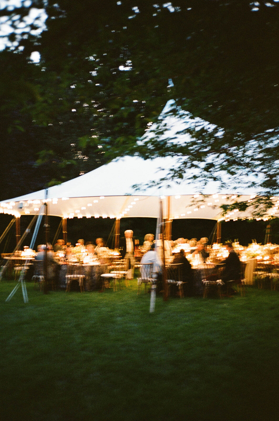 Sailcloth tent glowing at dusk on the lawn of a private estate in Darien