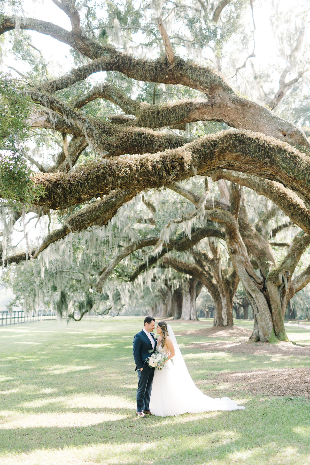 Bride and Groom Boone Hall Plantation Avenue of Oaks Wedding Photos