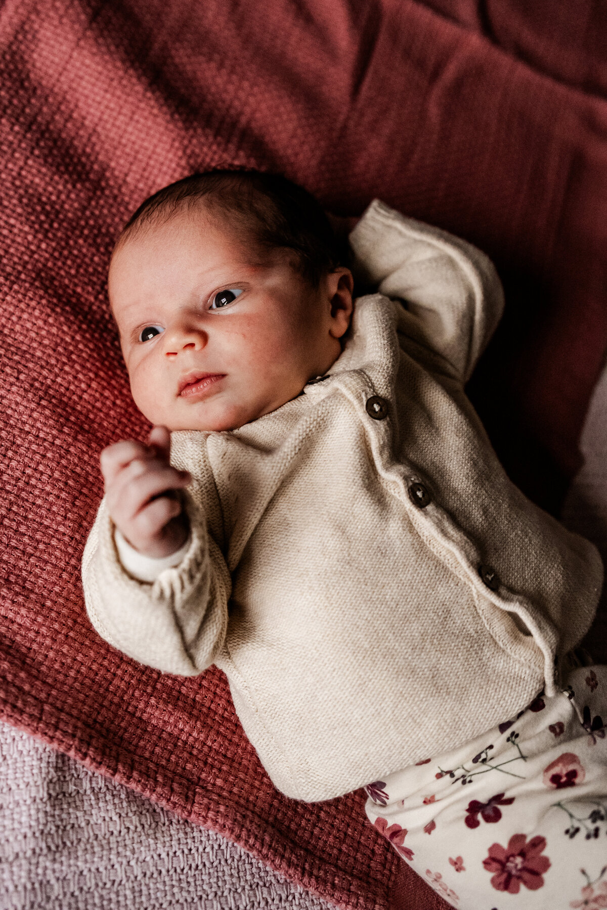 Newbornshoot Mara 4 HR