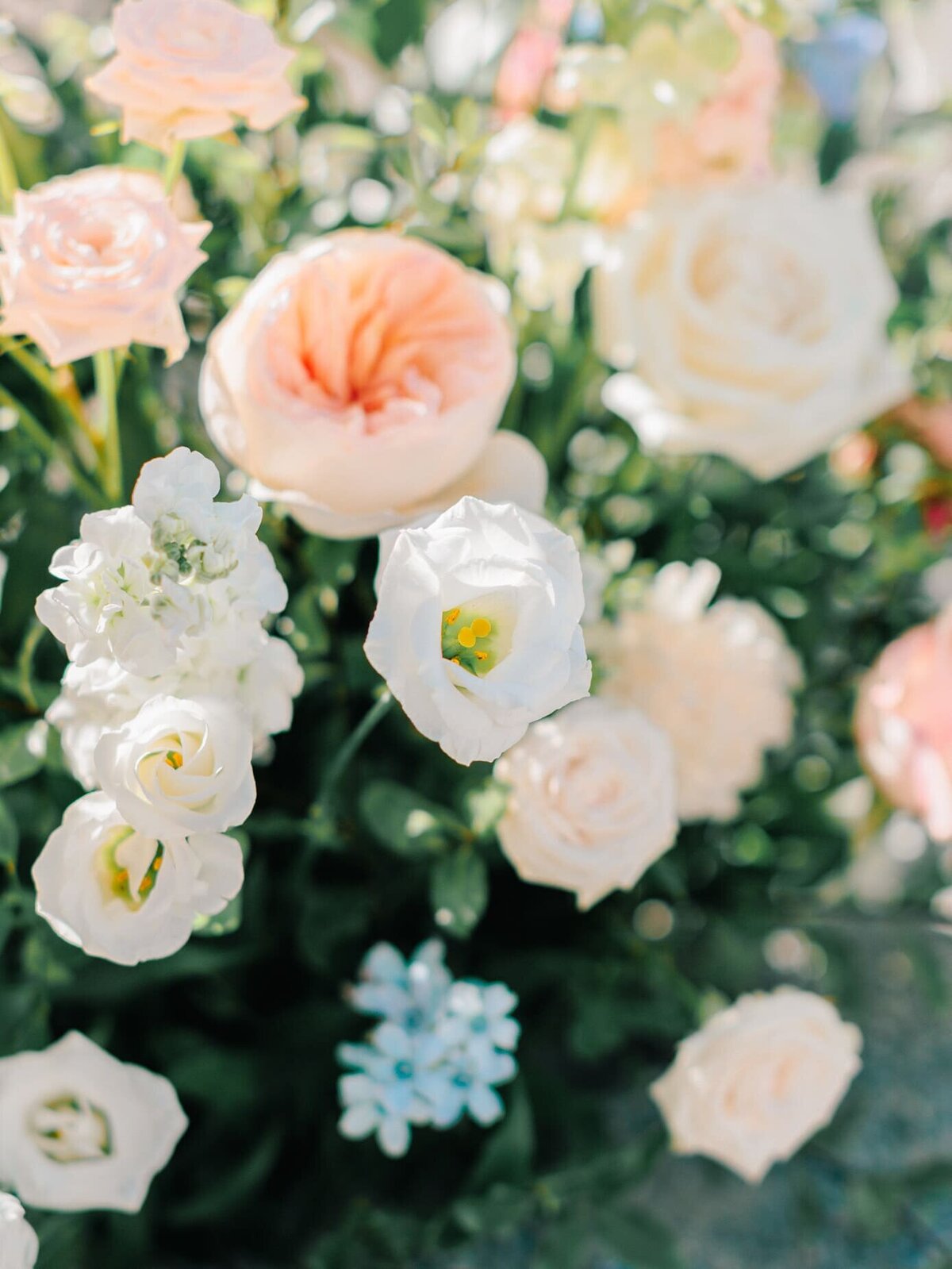 luxury-floral-design