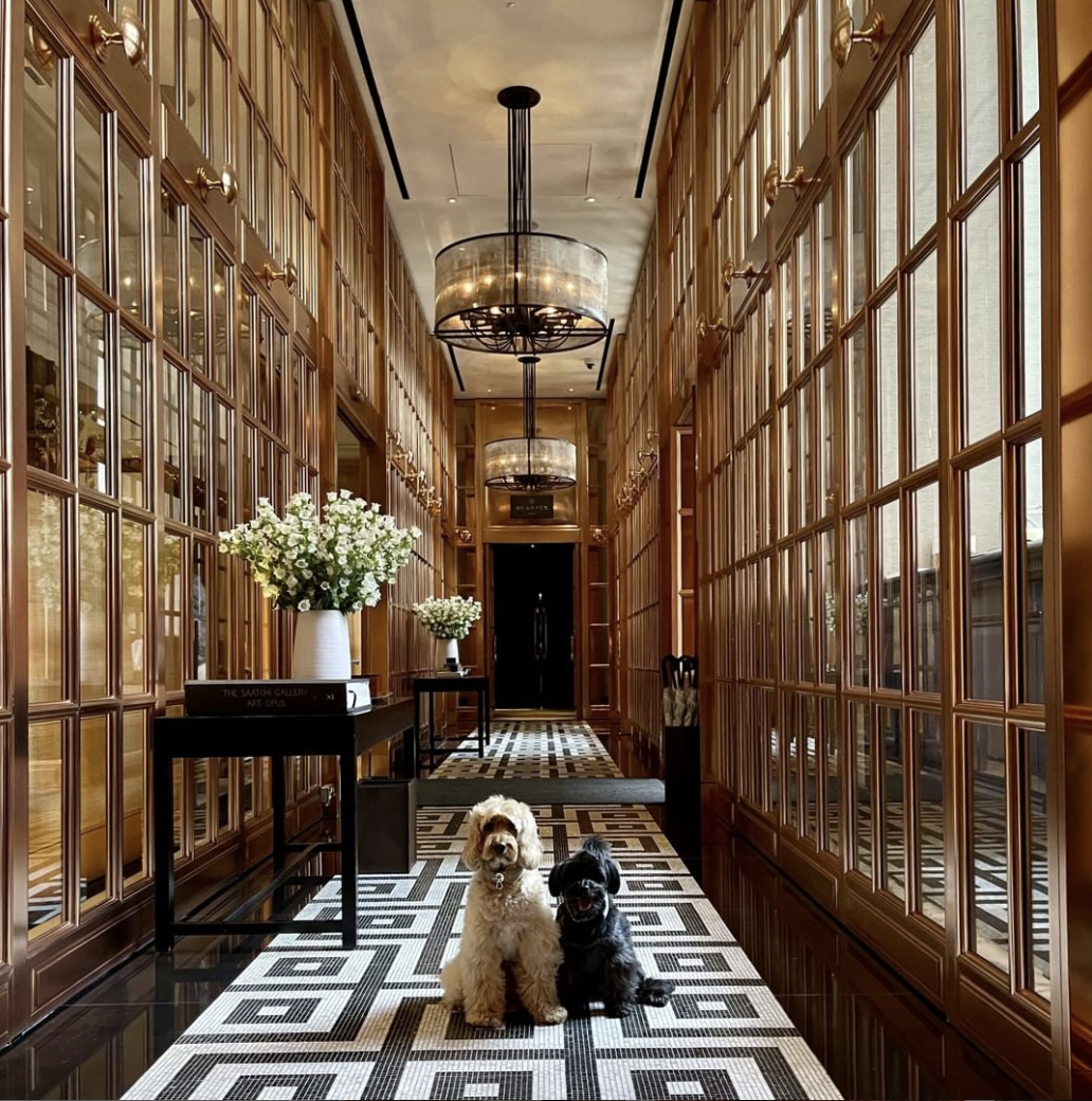 Nashville Collection Hotel Hallway w Dogs