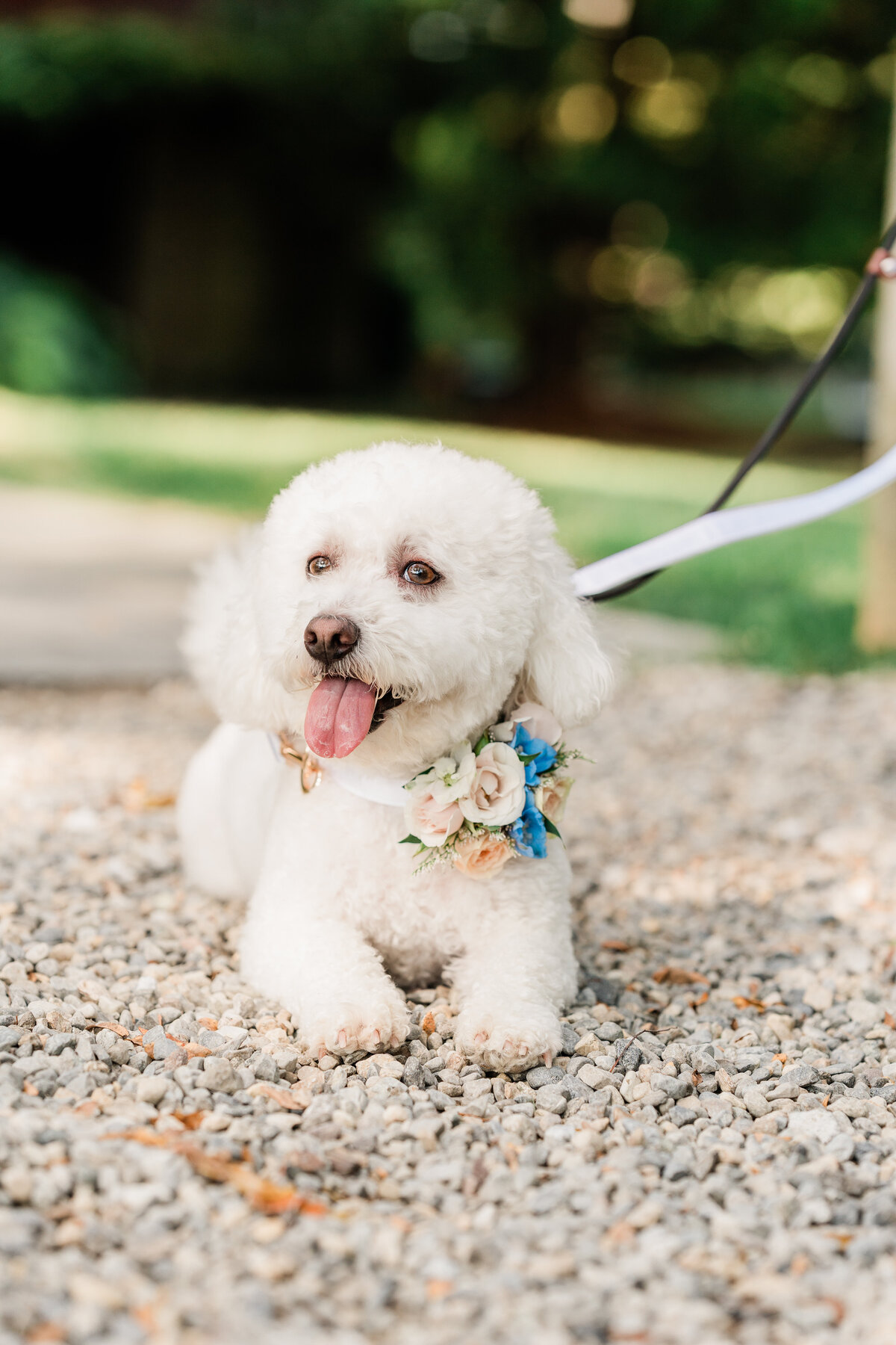 jordan-dickie-sneaks-199