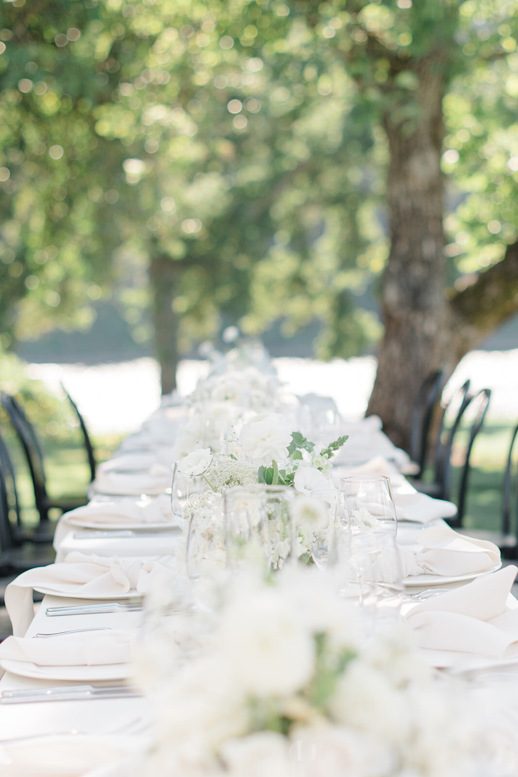 JanetLinPhotography_Meagan&Tom-Wedding-532