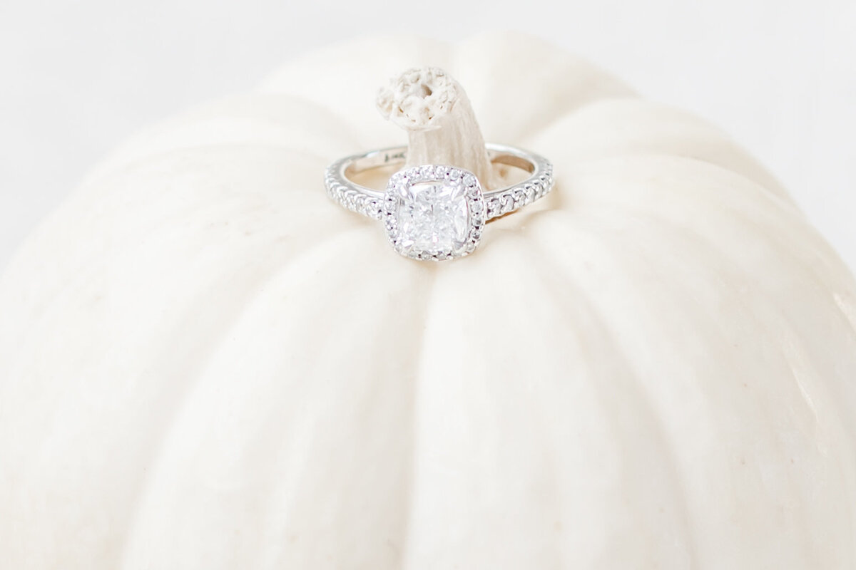 RINGSHOTS-1