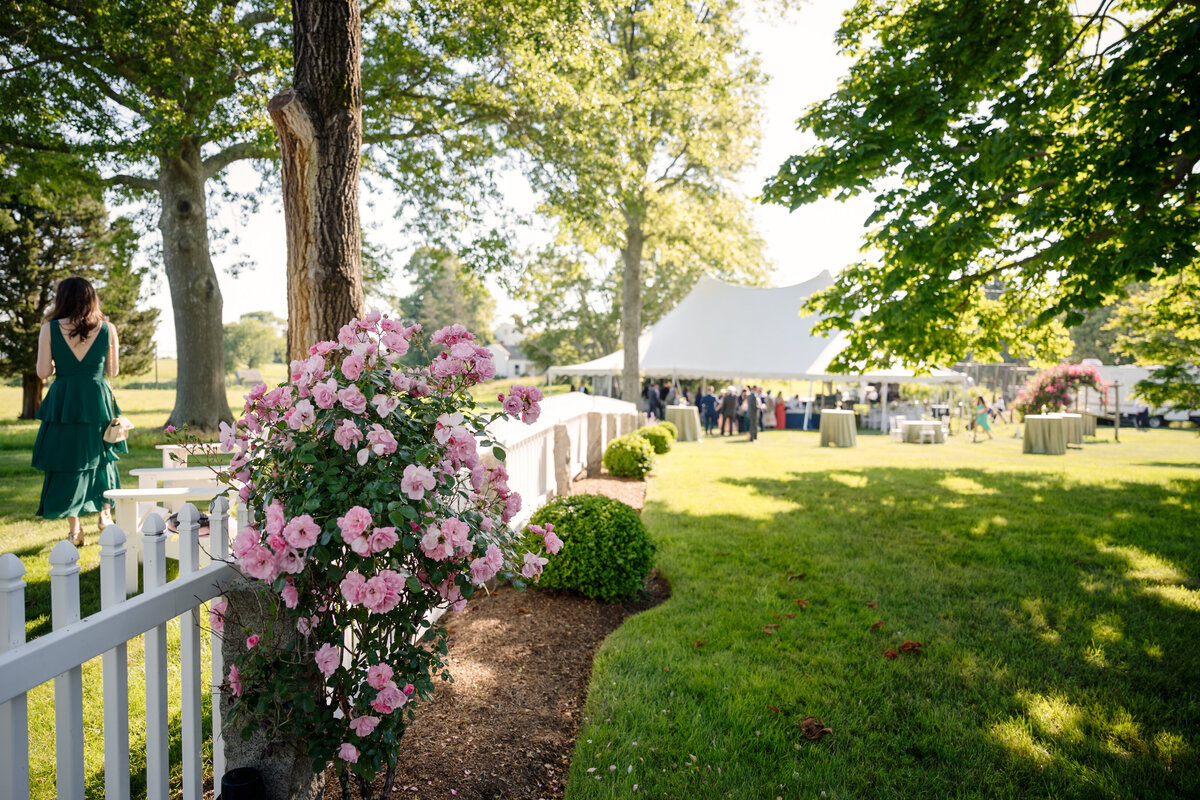 OLD-LYME-CT-BACKYARD-WEDDING-CARLA-TEN-EYCK--118