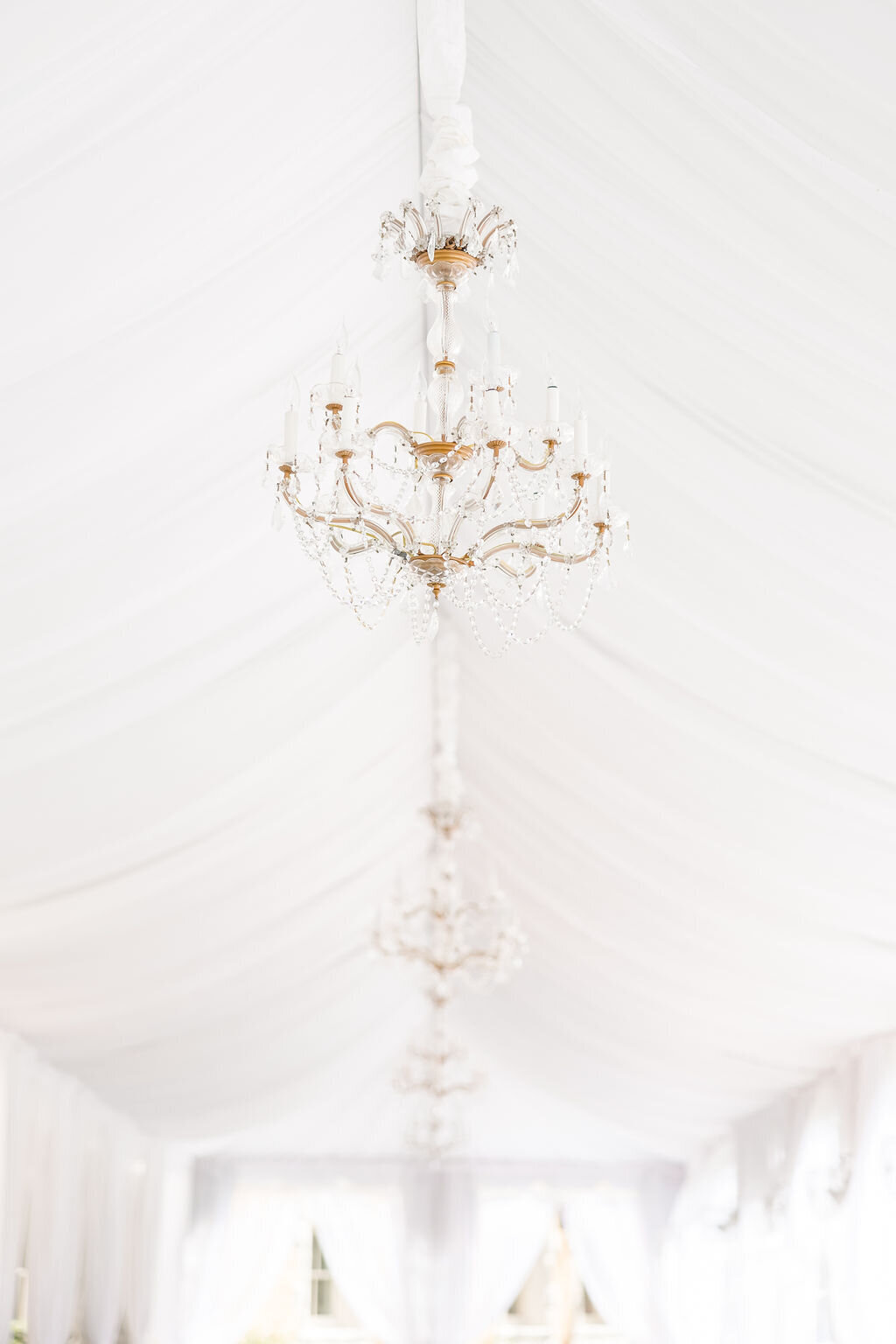 CairnwoodEstatePhiladelphia-240