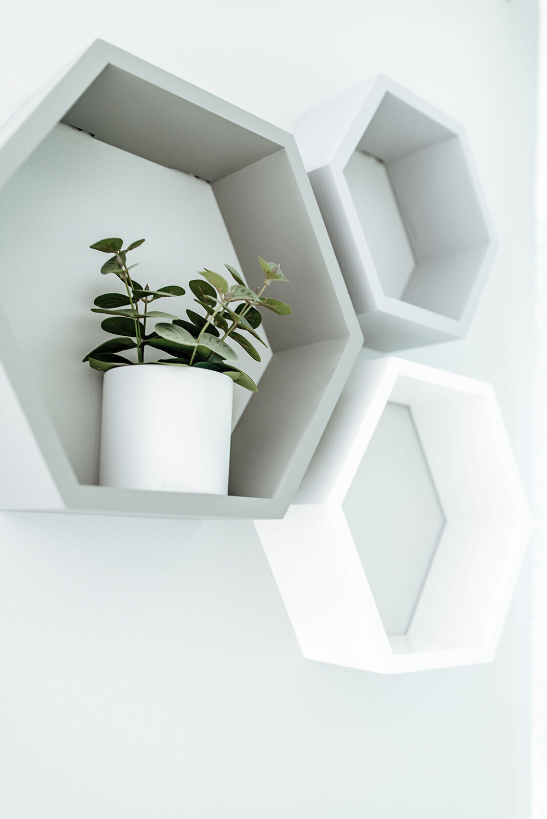 7Elements_CanvasBath03