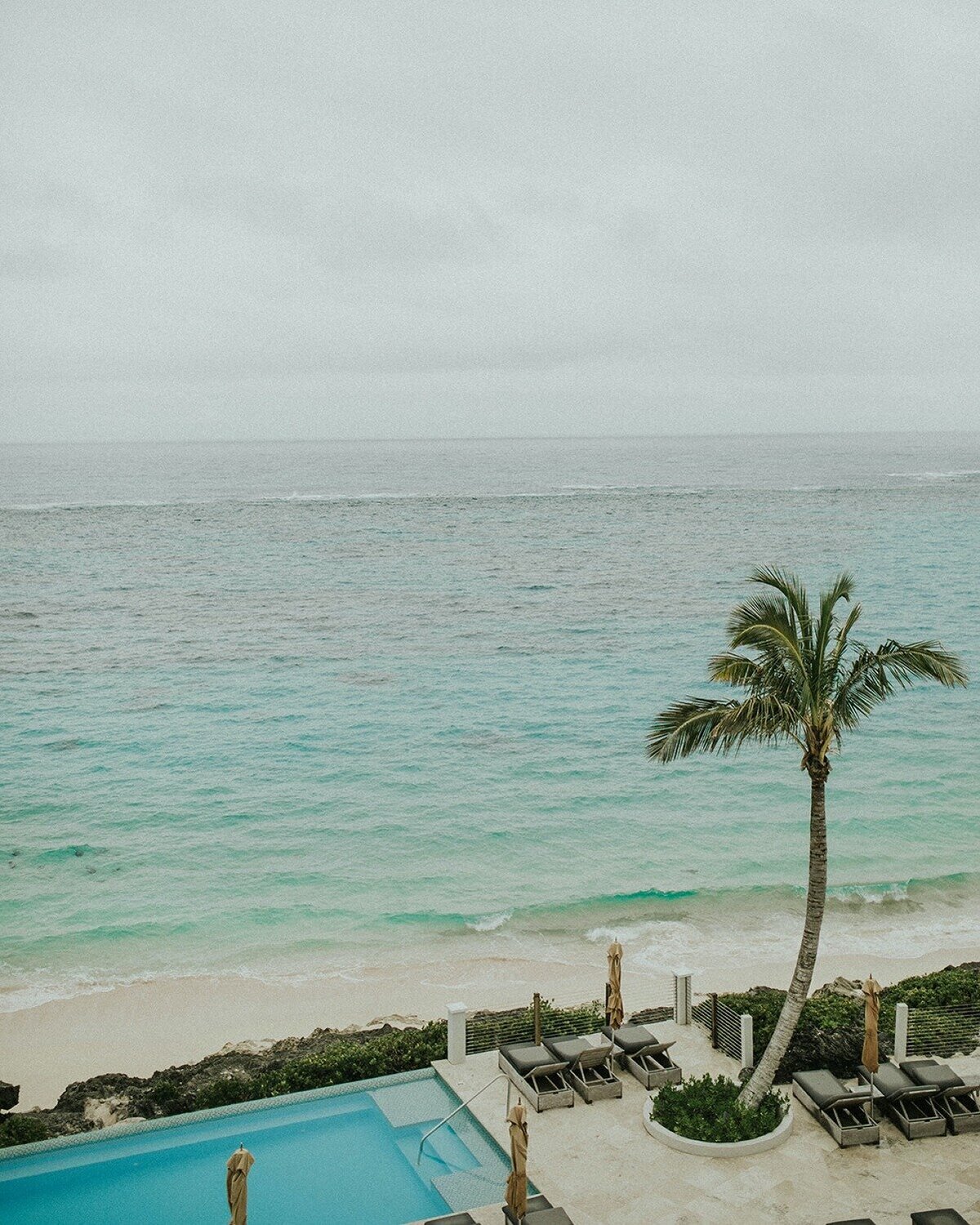 The-Loren-Bermuda-Wedding-Dasfete-18.jpg