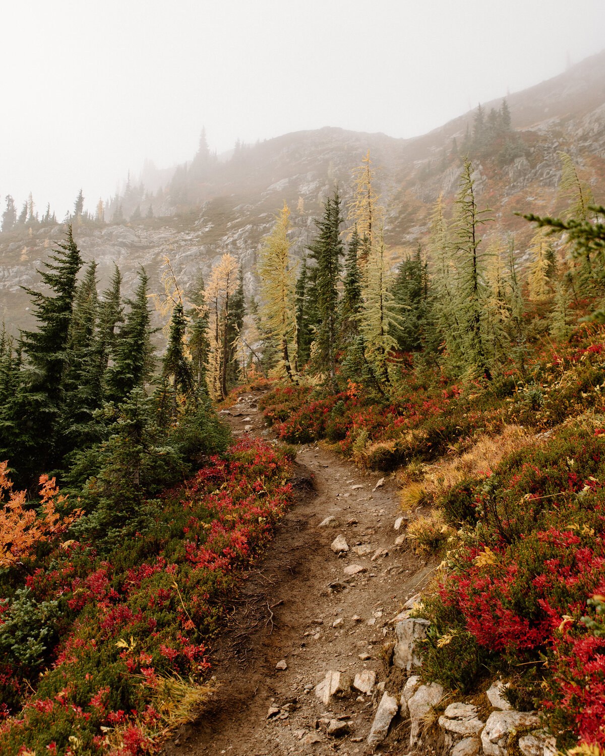 larch_fall_hike_heather_maple_loop_pass_north_cascades_national_park_1