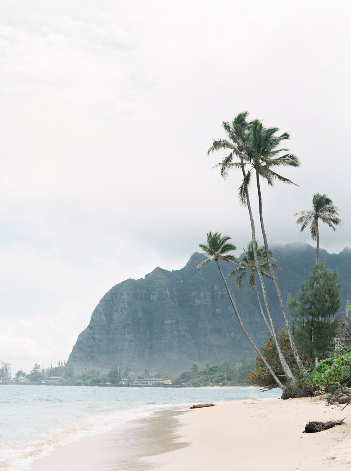 Hawaii Beach Elopement at Turtle Bay Resort by Fine Art Film Destination Photographer Sheri McMahon-56