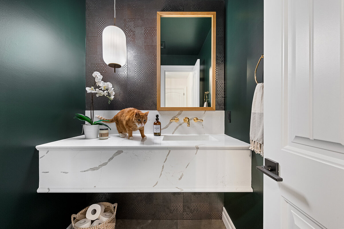 Final image of our moody luxe powder room interior design project.