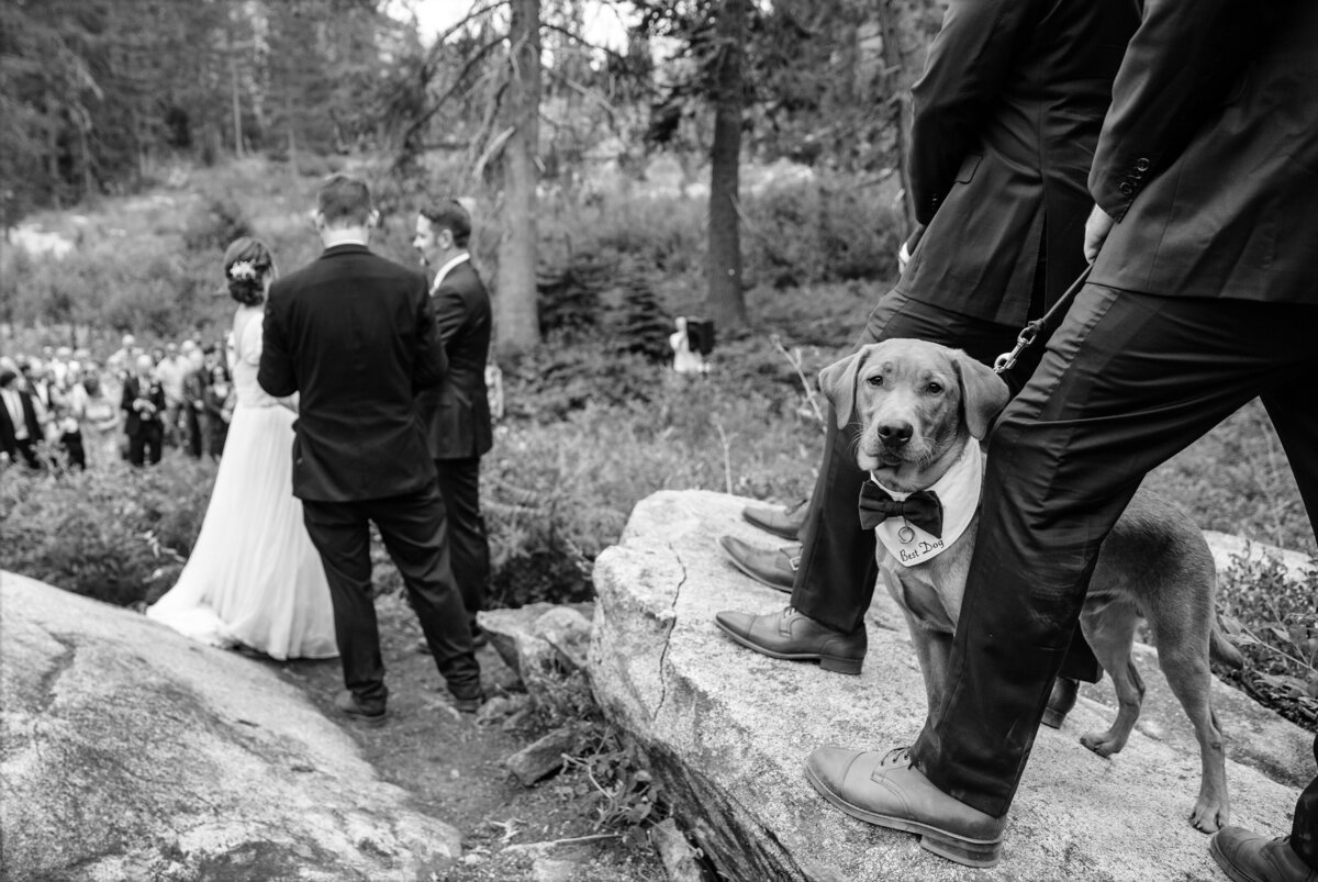 Hillary-Paul-WeddingBW154