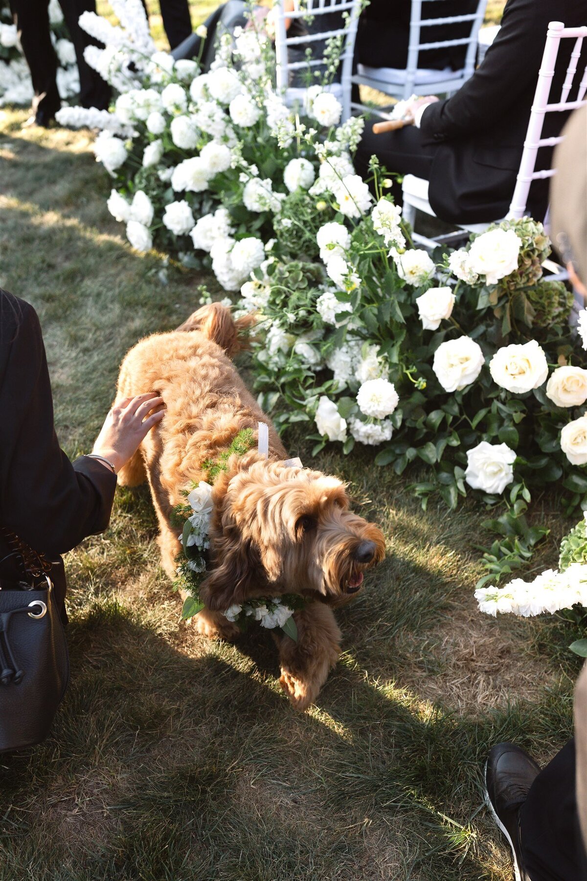 Caroline & Louis Wedding Previews-126
