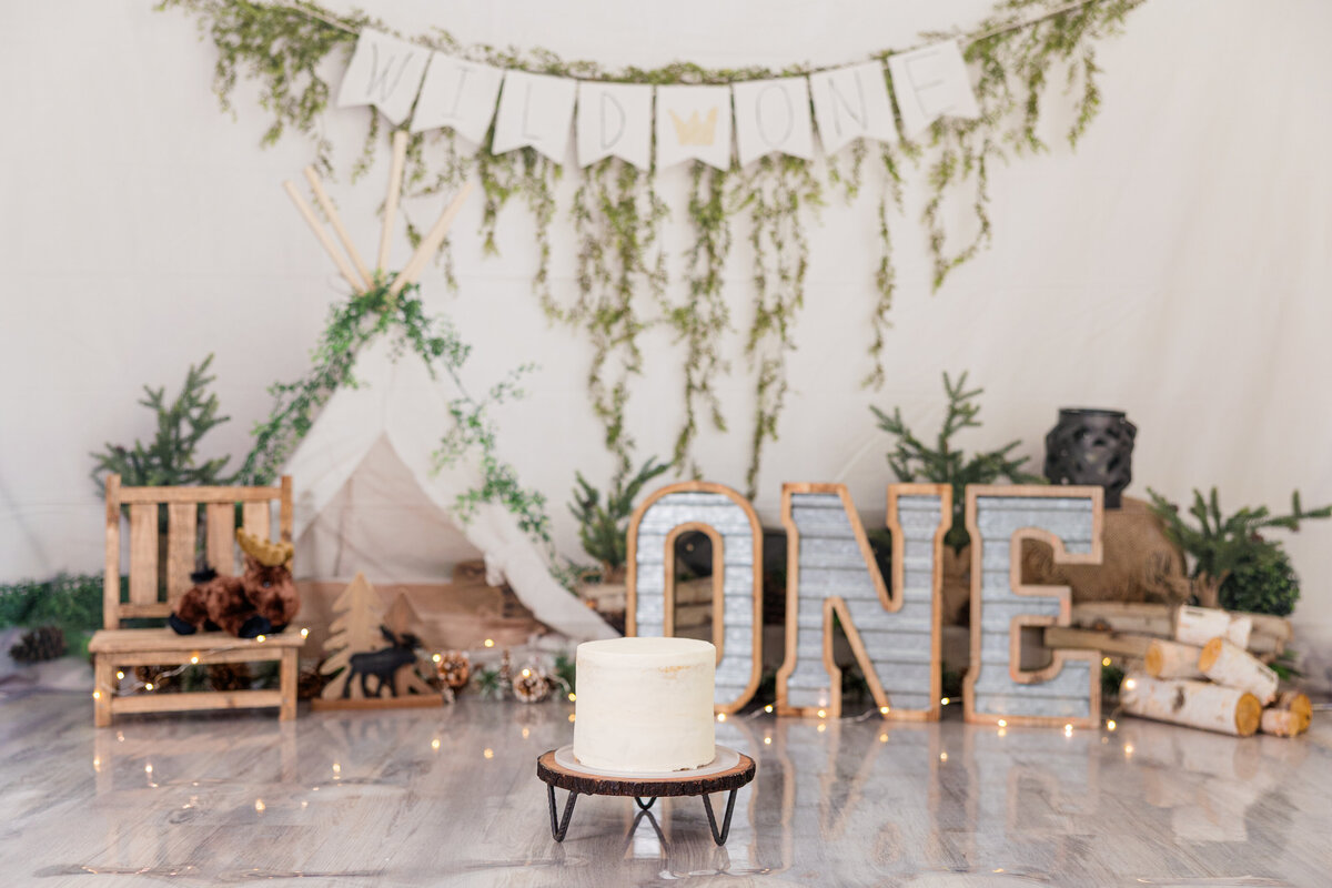 wild one birthday