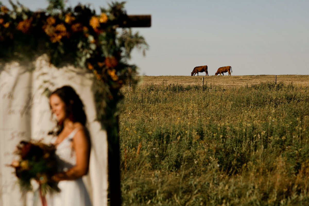 floral-and-field-design-bespoke-wedding-floral-styling-calgary-alberta-harvest-moon-21