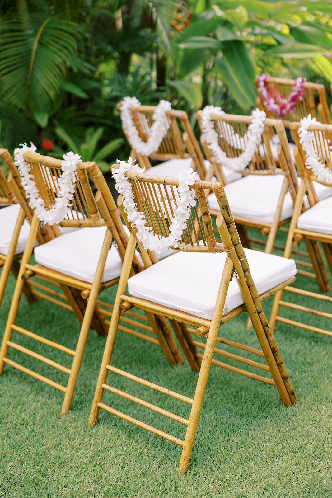 maleana-gardens-wedding23