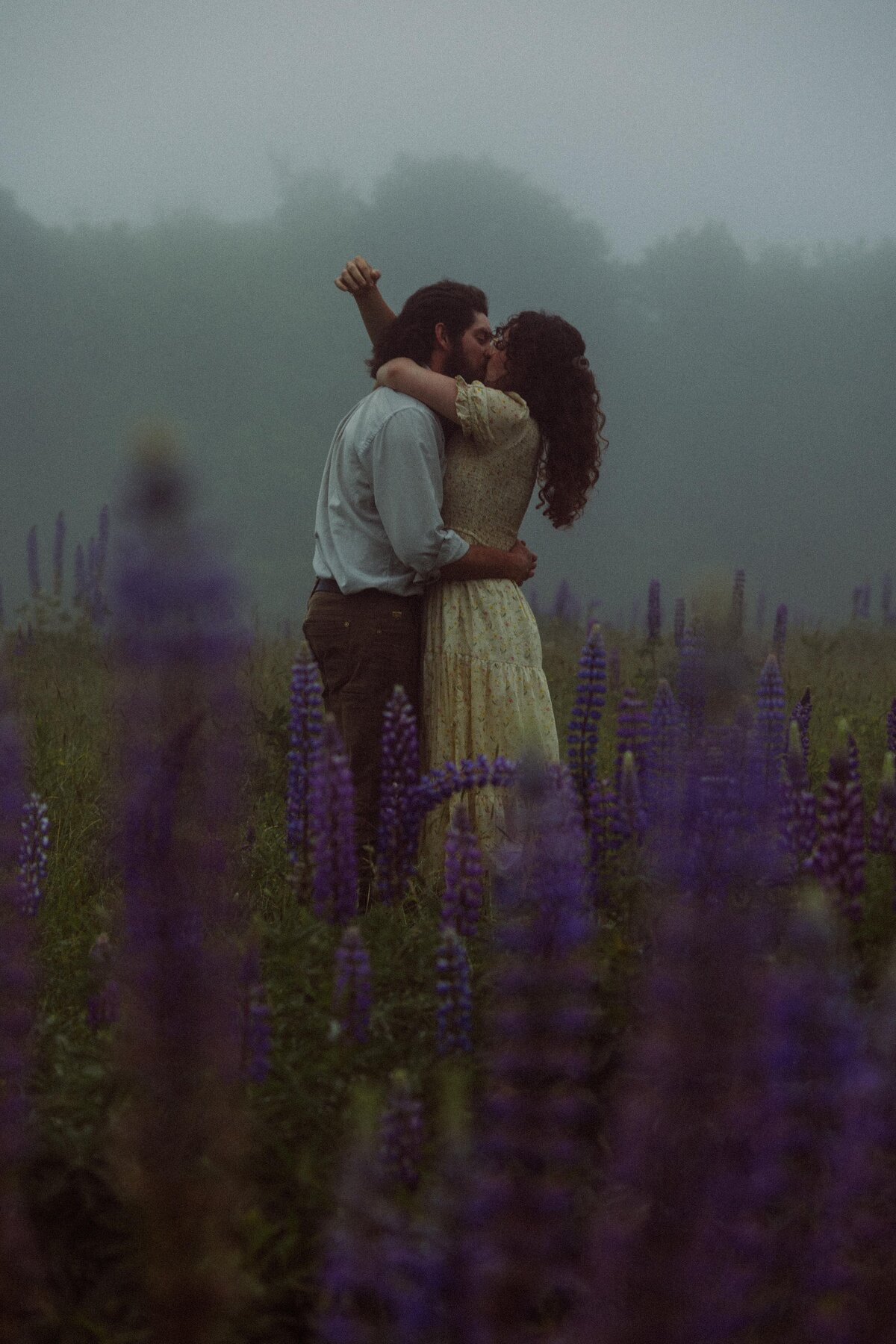 Viewing Lupines in Maine
