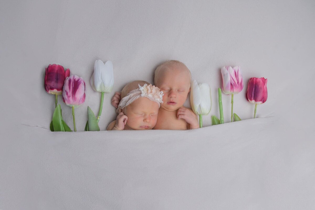 fraternal twin newborn photos with tulips