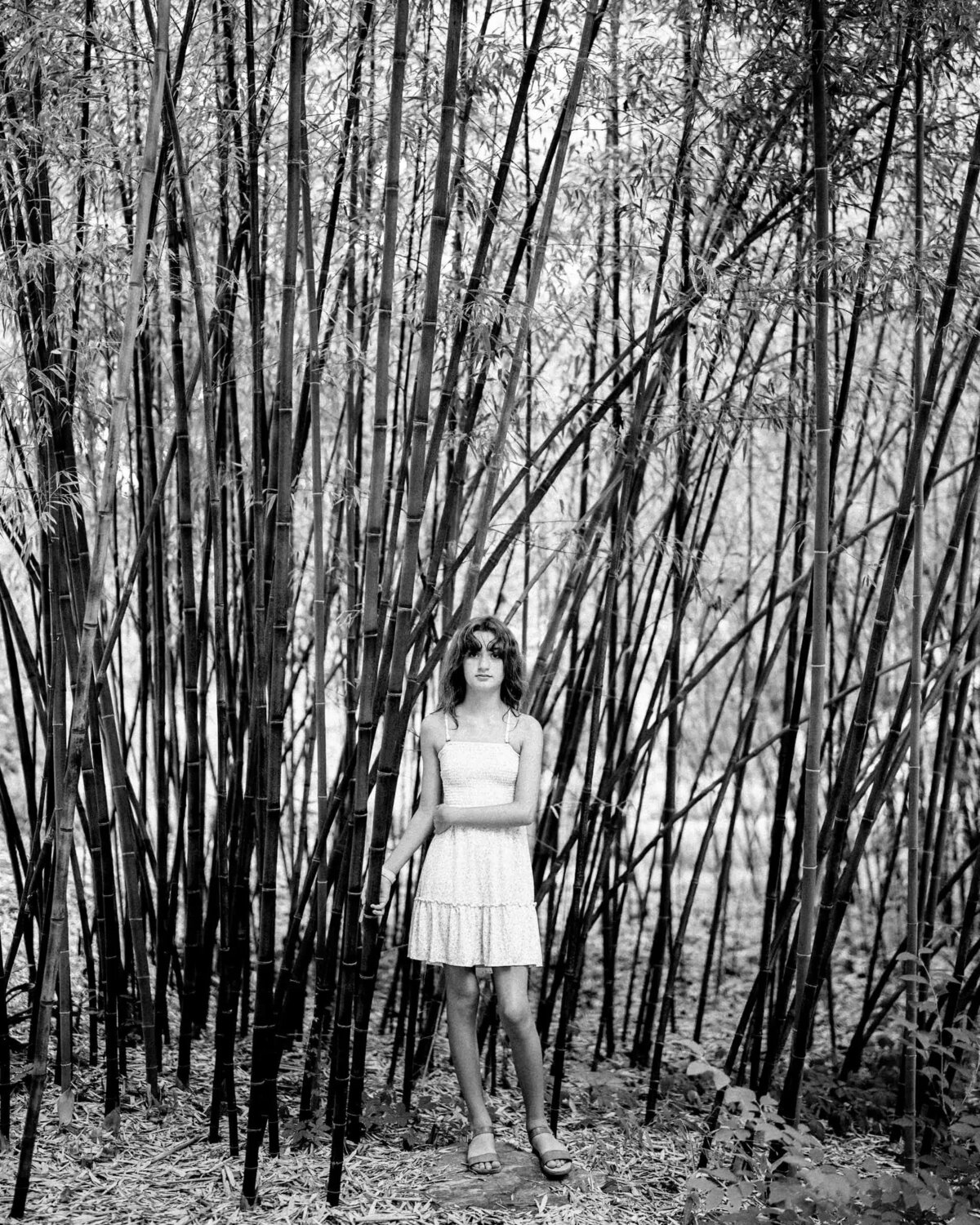 A girl standing in a small area with skinny trees around.